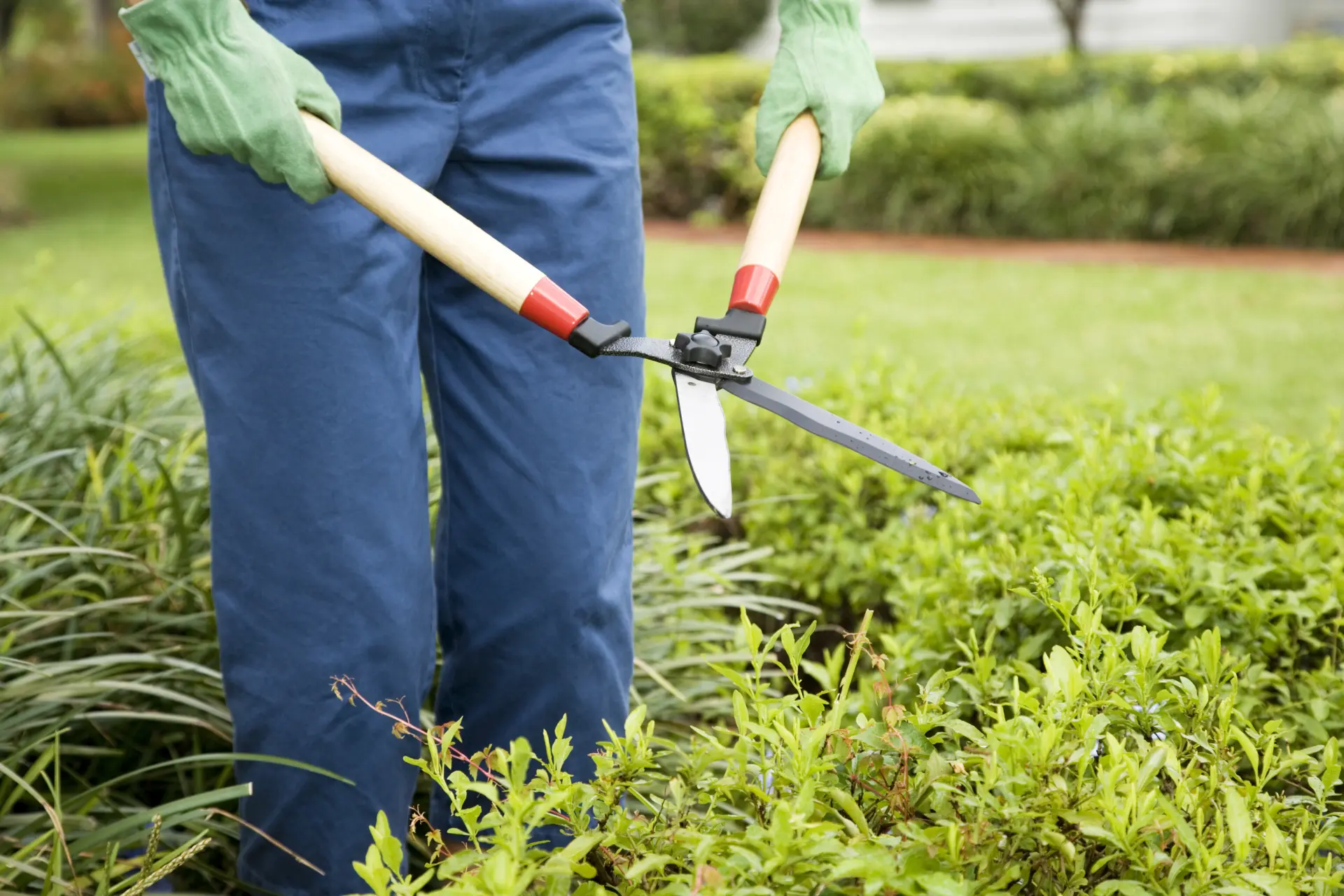 Garden Maintenance in Oxon: Keeping Your Outdoor Space Looking Its Best