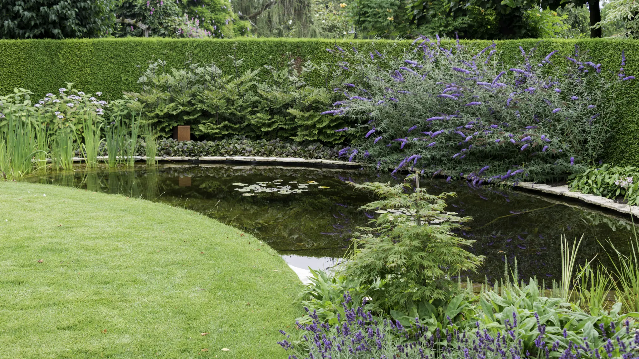 Pond Work