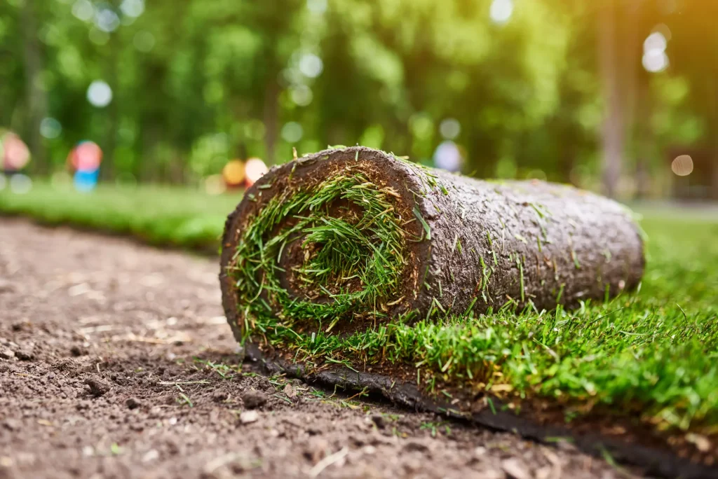Turfing Services in Oxon: How to Get a Healthy, Level Lawn