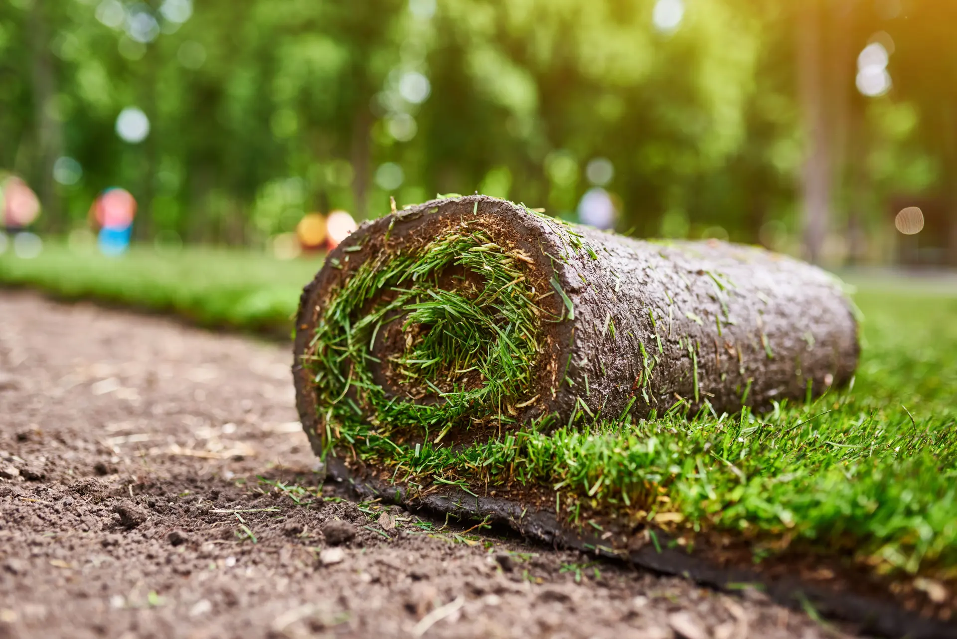 Turfing Services in Oxon: How to Get a Healthy, Level Lawn